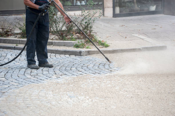 Best Animal Enclosure Cleaning  in Parsons, KS